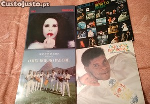 imagem_6