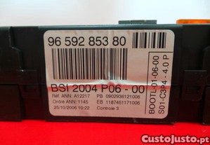 imagem_3
