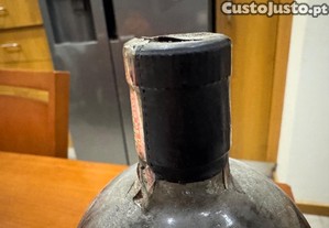imagem_6