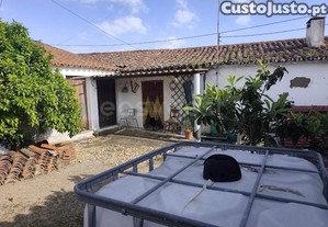 imagem_24