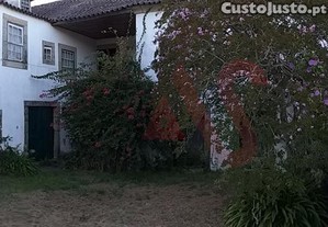 imagem_12