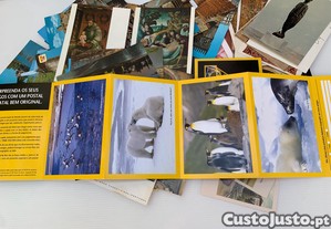 imagem_7