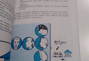 imagem_8