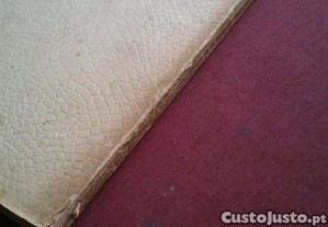 imagem_6
