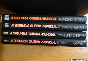 imagem_6