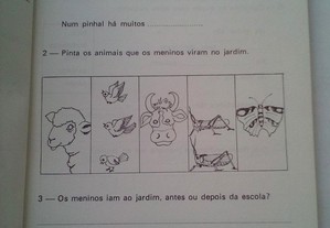 imagem_2