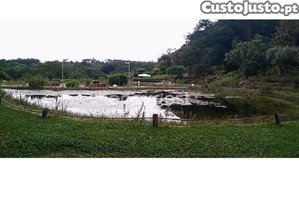 imagem_9
