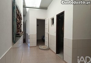 imagem_19