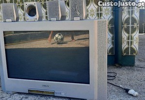 imagem_6
