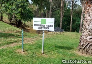 imagem_17