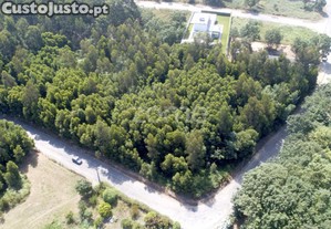 Terreno Urbanizável Com Área De 8.170 M2 -...