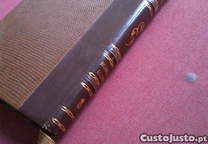 imagem_4