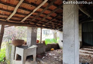 imagem_31