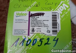 imagem_1