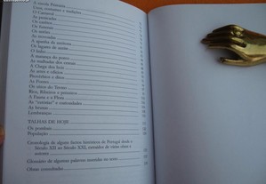 imagem_7