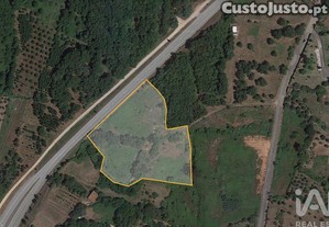 Terreno para construção em São Miguel, Santa Eufémia e Rabaçal de 7007,00 m²