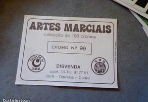 imagem_2