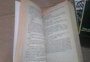 imagem_8