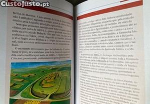 imagem_3
