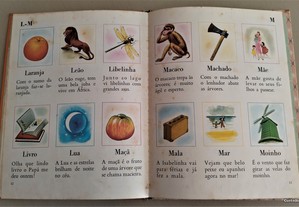 imagem_8