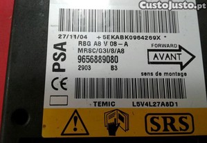 imagem_2