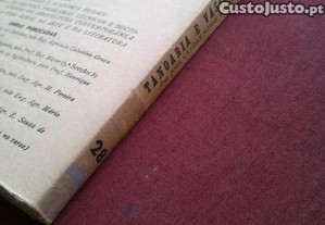 imagem_9