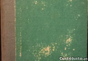 imagem_8