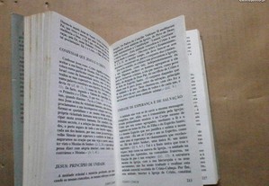 imagem_6