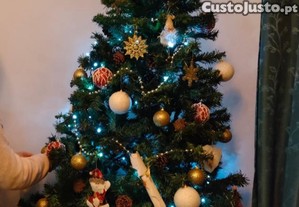 imagem_1