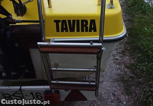 imagem_1