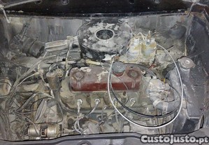 imagem_5
