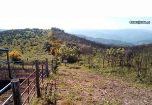 Terreno plano na serra da Aboboreira-Baião