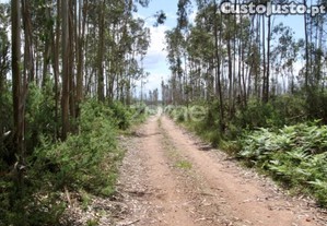 Terreno Rustico Junto À A25