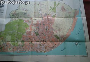 imagem_7