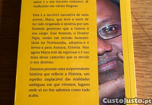imagem_2
