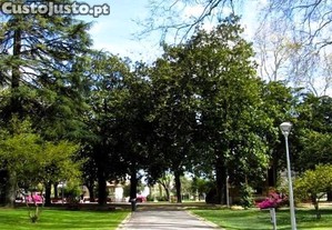imagem_14