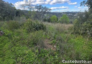Terreno T3 em São Brás de Alportel de 256,00 m²