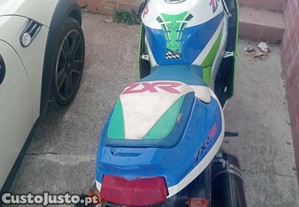 imagem_6