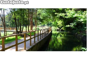 imagem_9