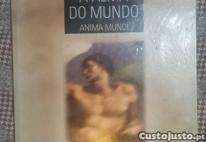 imagem_8