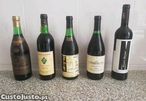 imagem_1