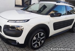 Citron C4 Cactus - 16