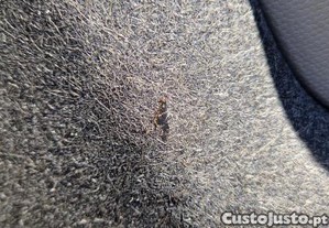 imagem_20