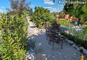 imagem_39