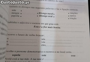 imagem_6