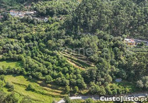 Terreno Rústico Com Nascente Em Seramil