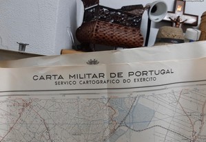 imagem_8