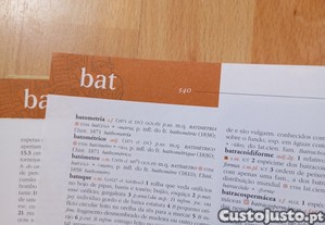 imagem_6