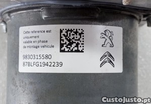 imagem_7