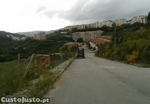 imagem_13